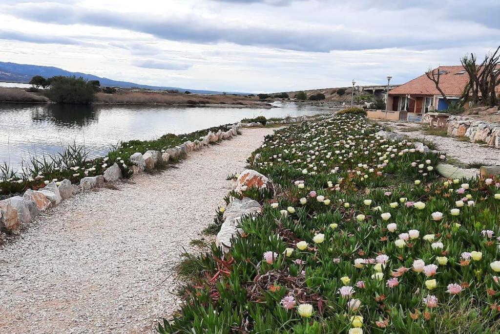 Maisonnette Entre Etang Et Leucate